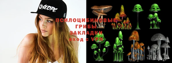меф Белокуриха