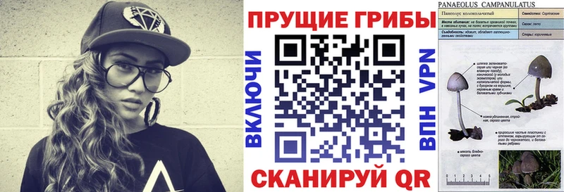Псилоцибиновые грибы мицелий  Югорск 